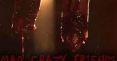 Mad, Crazy, Friends (2014) stream