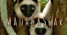 Película Madagascar