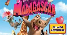 Dreamworks' Madly Madagascar