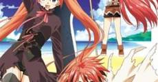 Mahou Sensei Negima!: Shiroki Tsubasa Ala Alba (2008) stream