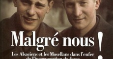 Malgré-Nous, les oubliés de l'Histoire streaming