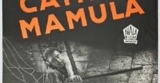 Campo Mamula (1959)