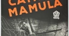 Campo Mamula (1959) stream