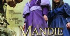 Mandie and the Cherokee Treasure (2010)