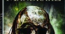 Mandrake (2010) stream