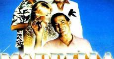 Película Marbella, un golpe de 5 estrellas