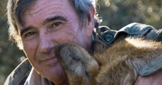 Marcos, el lobo solitario