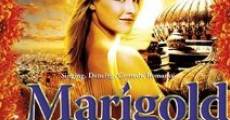 Ver película Marigold