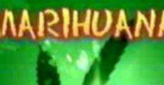 Marihuana, la hierba de la discordia (2002)