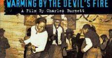 Martin Scorsese Presents the Blues - Warming by the Devil's Fire (2003) stream