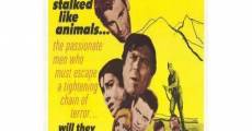 The Desperate Ones (1967) stream