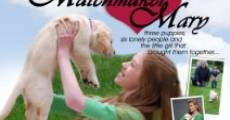 Matchmaker Mary film complet