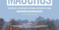 Mauchos streaming