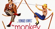 Monkey Business (aka Darling I Am Growing Younger) (1952) stream