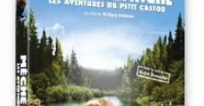 Mèche Blanche: les aventures du petit castor film complet