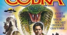 Meglio baciare un cobra film complet