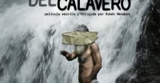 Memorias Del Calavero (2014) stream