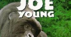 Mighty Joe Young (1998) stream