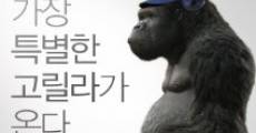 L'incroyable Mr.Go streaming