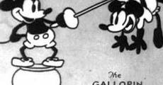 Película Mickey Mouse: El gaucho galopante