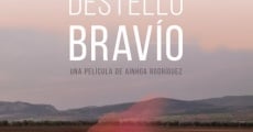 Destello bravío