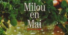 Milou en mai streaming