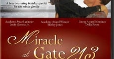 Miracle at Gate 213 (2013) stream