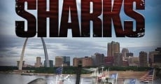 Mississippi River Sharks