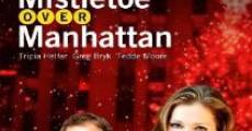 Mistletoe Over Manhattan (2011) stream