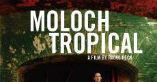 Película Moloch tropical