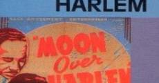 Ver película Moon Over Harlem