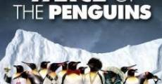 Die verrückte Reise der Pinguine