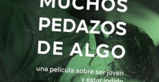 Muchos pedazos de algo film complet