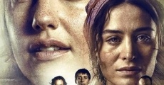 Annemin Yarasi (2016) stream