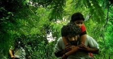 Mynaa (2010)