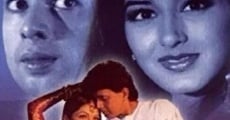 Naaraaz (1994)