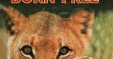 Born Free (1966) stream