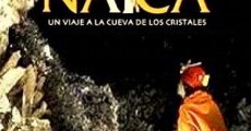 Película Naica, viaje a la cueva de los cristales