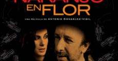 Naranjo en flor (2008)