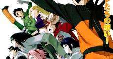 Ver película Naruto Shippûden 3: Inheritors of Will of Fire