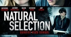 Natural Selection (2016) stream