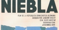 Película Niebla