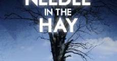 Película Needle in the Hay