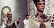 Néfertiti, la fille du soleil streaming
