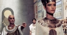 Película Nefertiti