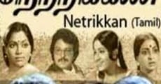 Netri Kann (1981)