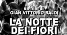 La notte dei fiori streaming