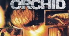 Night Orchid (1997)