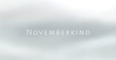 Novemberlicht