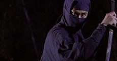 Ninja Shadow Warriors film complet